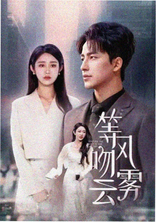 以法之名 收视率